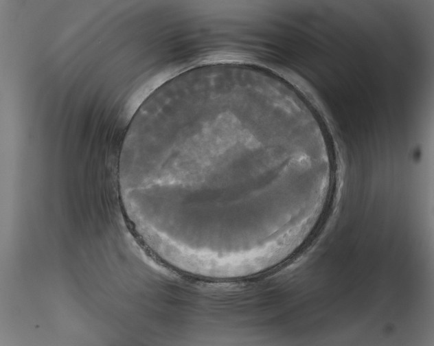 X0000114591337200911301350