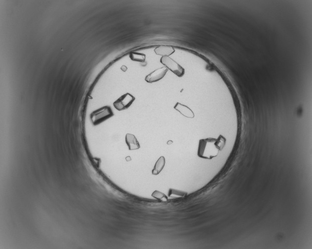 X0000114591341200911301350