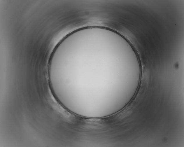 X0000114591342200911301350