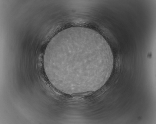 X0000114591346200911301349