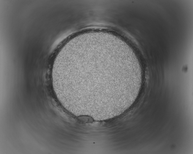 X0000114591352200911301349