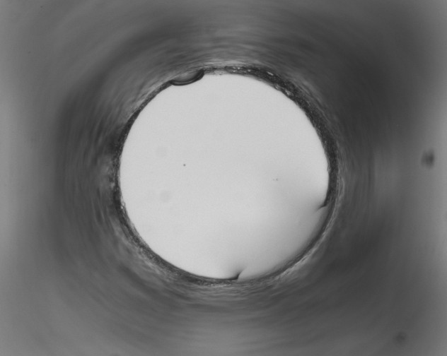 X0000114591353200911301349