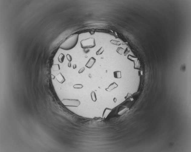 X0000114591354200911301349