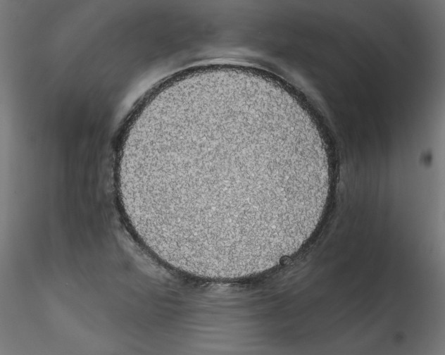 X0000114591360200911301349