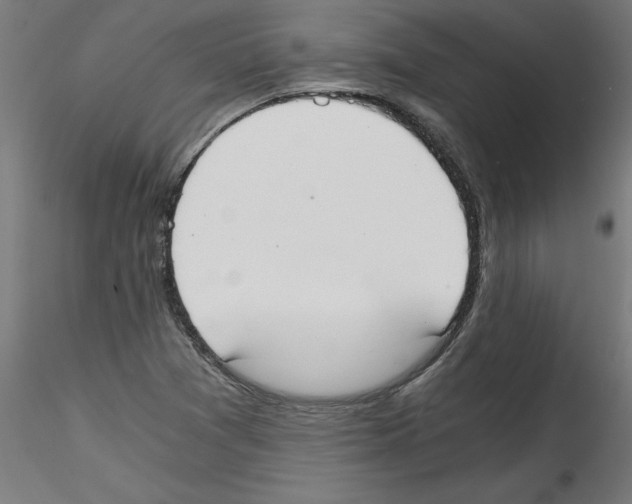 X0000114591361200911301349