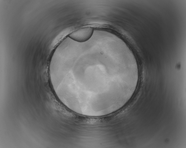 X0000114591362200911301349