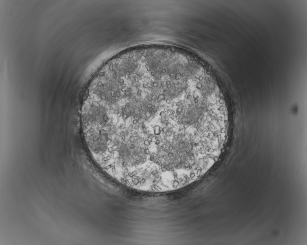 X0000114591363200911301349