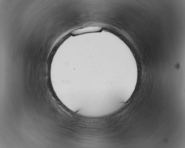 X0000114591364200911301349