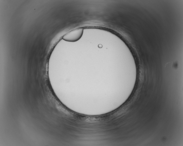 X0000114591366200911301349