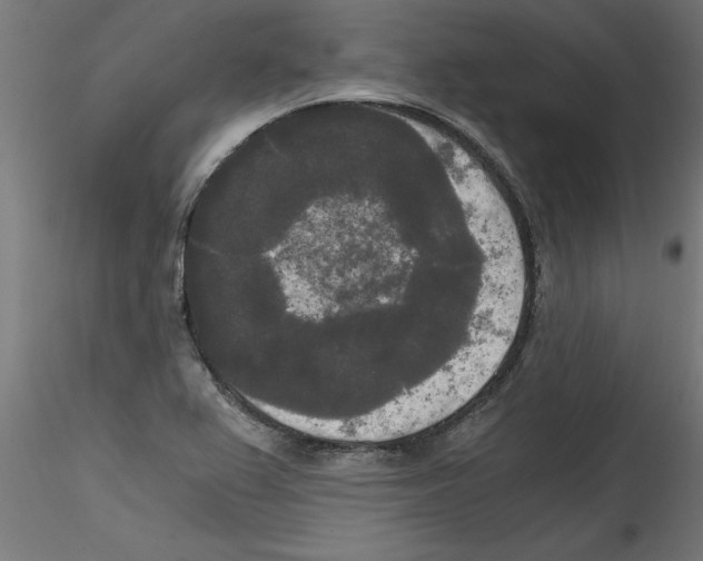 X0000114591367200911301349