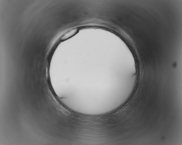 X0000114591368200911301349
