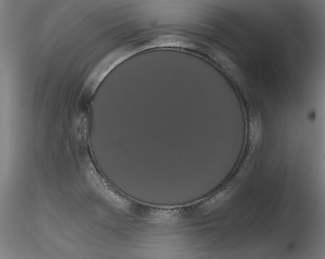X0000114591369200911301349