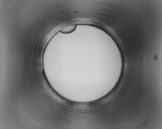 X0000114591370200911301349
