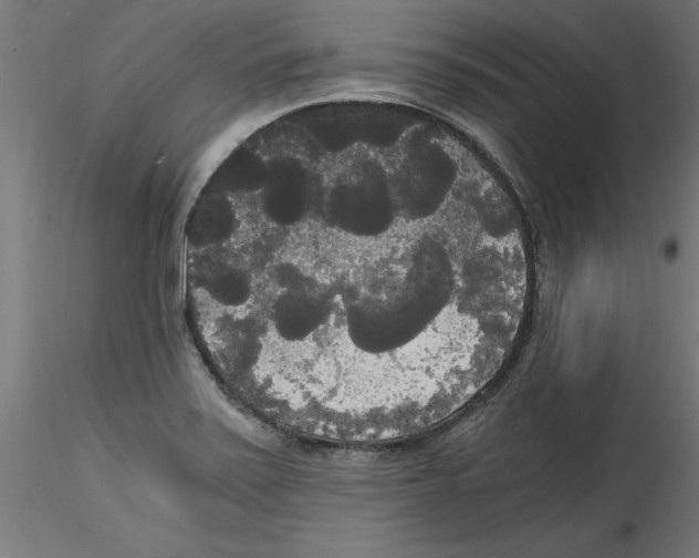 X0000114591371200911301349