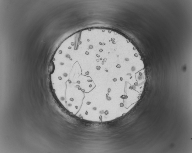 X0000114591375200911301349
