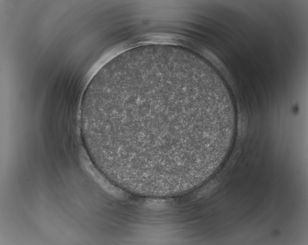 X0000114591378200911301349