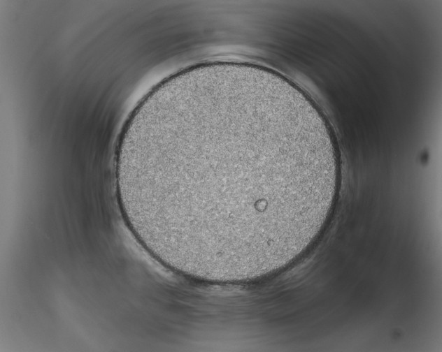 X0000114591384200911301349
