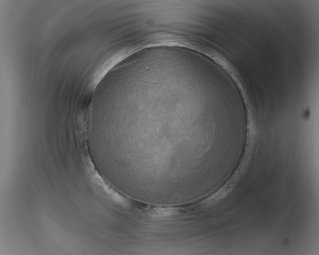 X0000114591385200911301349