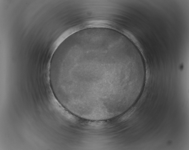X0000114591386200911301349