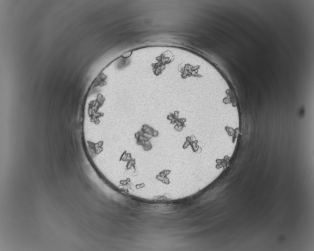 X0000114591387200911301349
