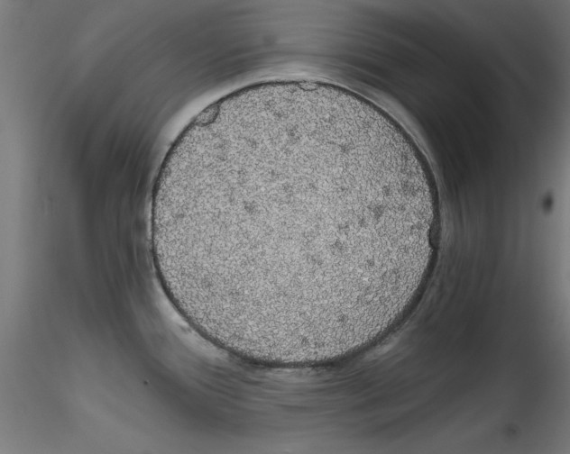 X0000114591388200911301349