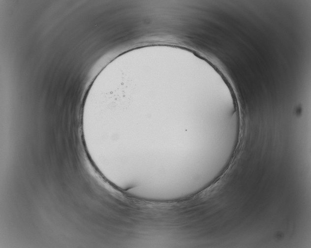 X0000114591389200911301349