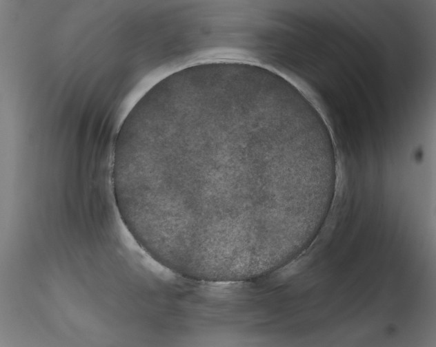 X0000114591390200911301349