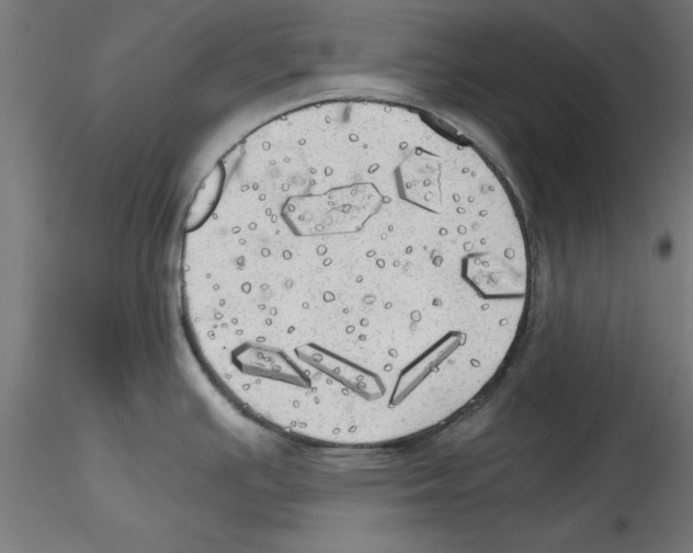 X0000114591391200911301349