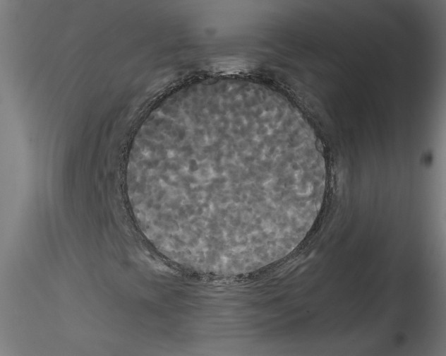 X0000114591393200911301348