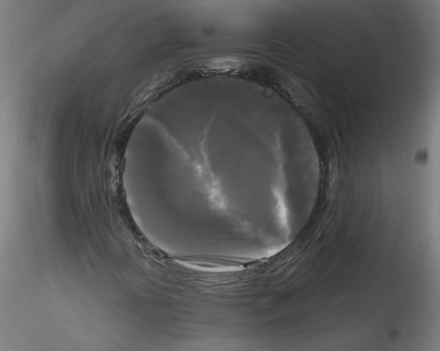 X0000114591394200911301348