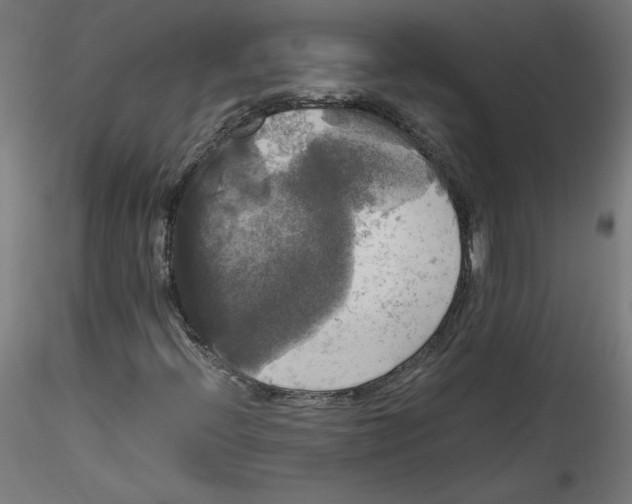 X0000114591396200911301348