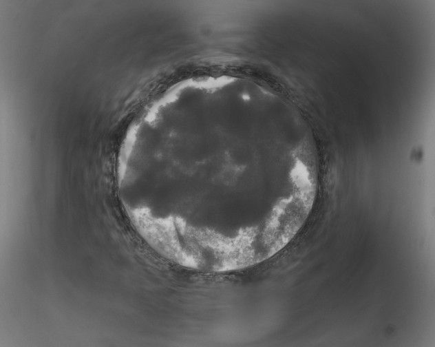 X0000114591397200911301348