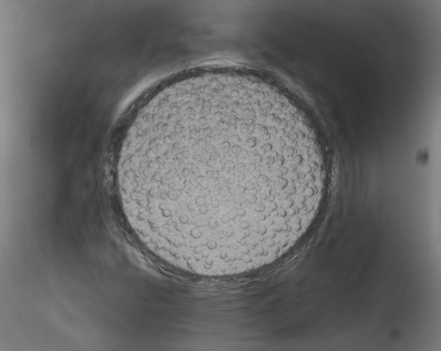 X0000114591400200911301348