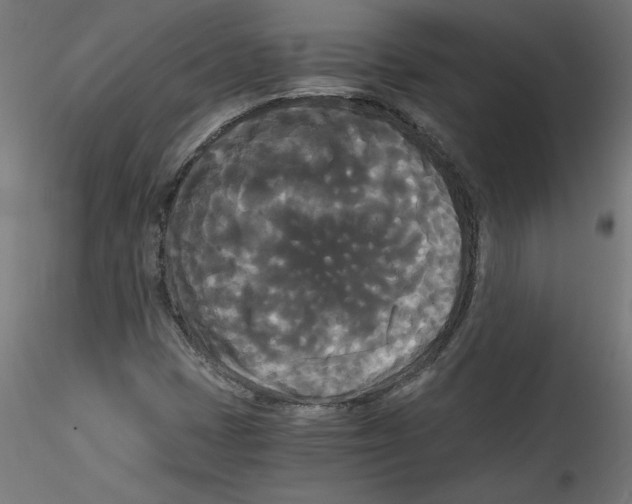X0000114591401200911301348
