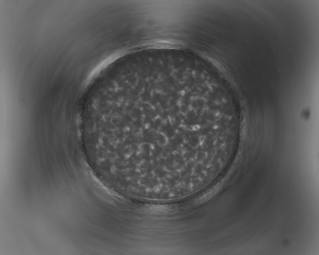 X0000114591402200911301348