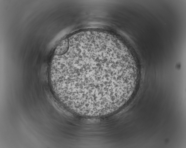 X0000114591403200911301348