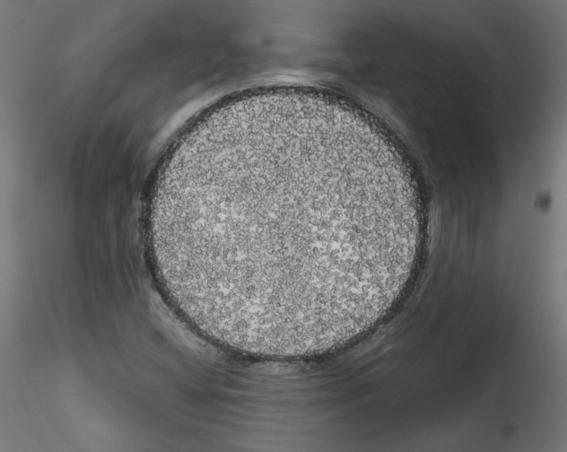 X0000114591404200911301348