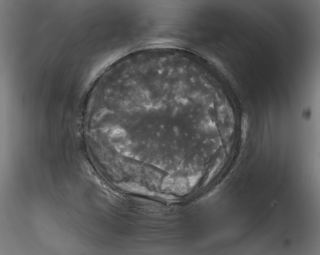 X0000114591405200911301348