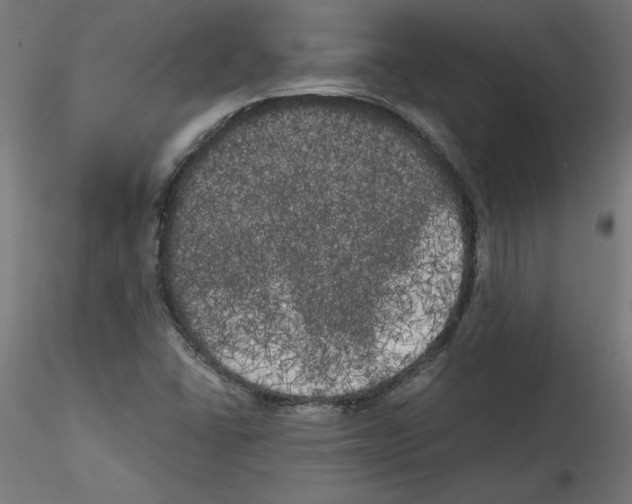 X0000114591406200911301348