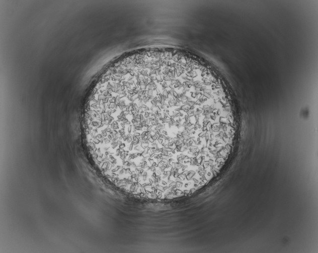 X0000114591407200911301348