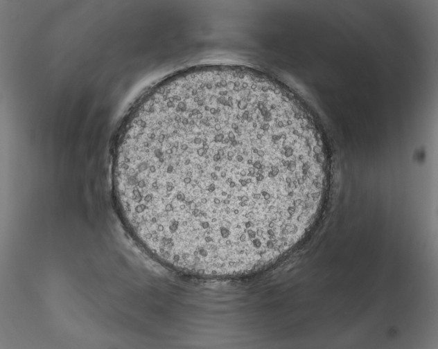 X0000114591408200911301348