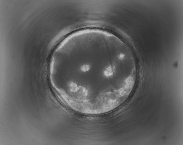 X0000114591411200911301348