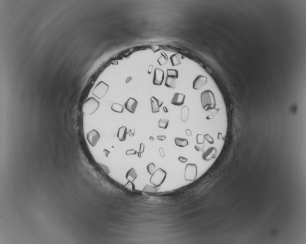 X0000114591412200911301348