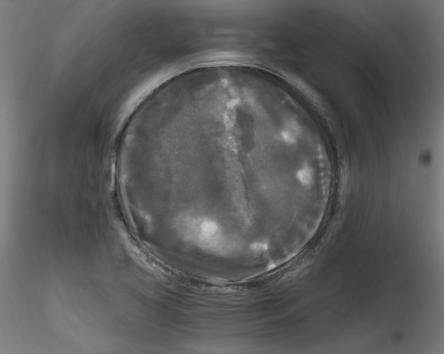 X0000114591413200911301348