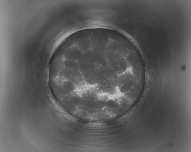 X0000114591415200911301348
