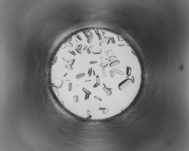 X0000114591416200911301348