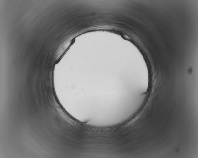 X0000114591417200911301348