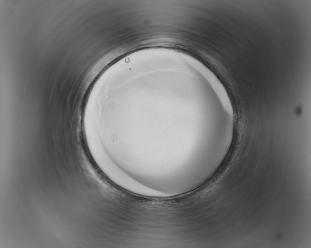 X0000114591418200911301348