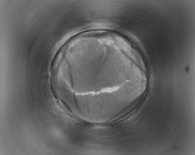 X0000114591419200911301348