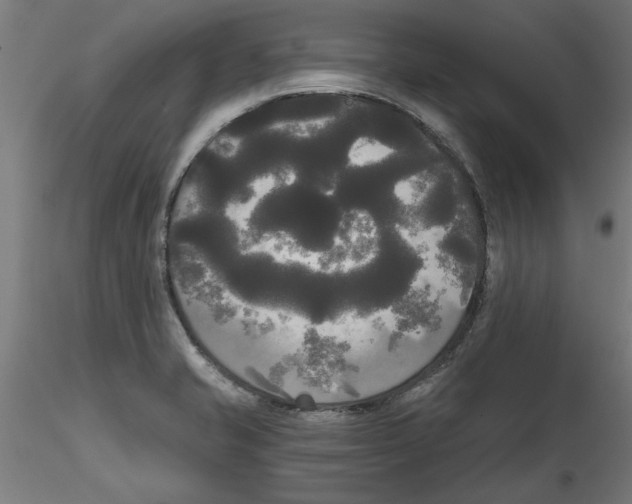 X0000114591421200911301349